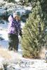 Cut down a Christmas tree as a family.